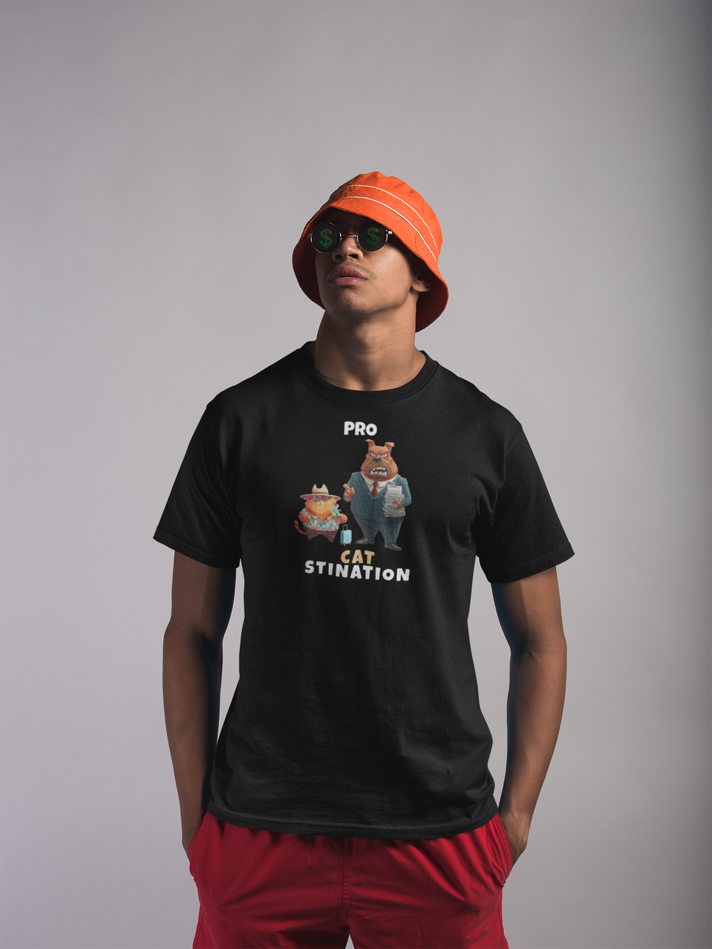 PRO-CAT-STINATION