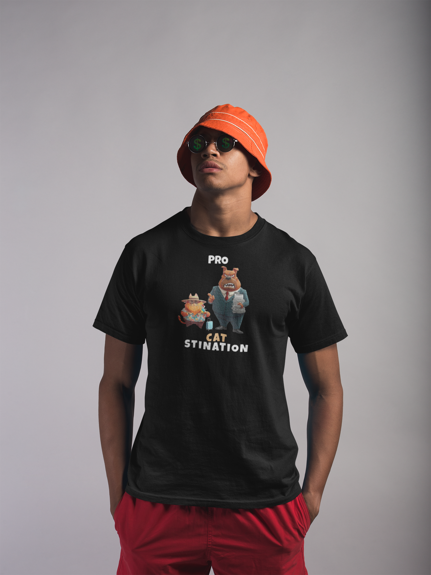 PRO-CAT-STINATION